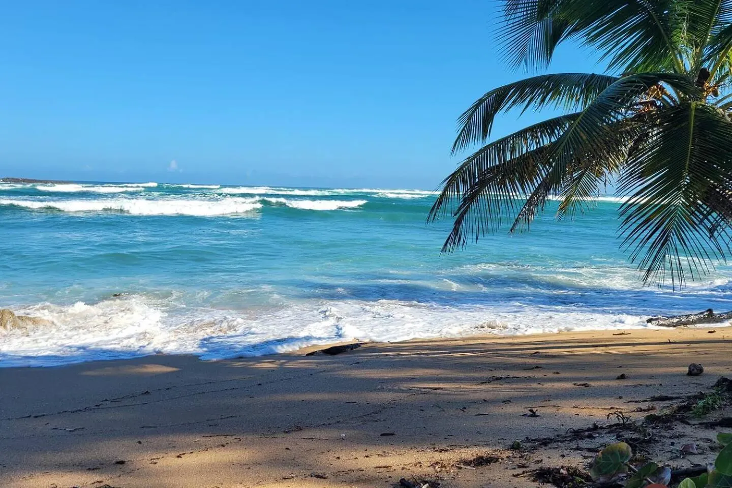 White Paradise Seaside Haven Relax And Unwind Vega Baja Puerto Rico